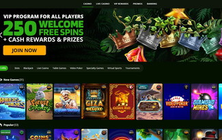 Wild Casino
